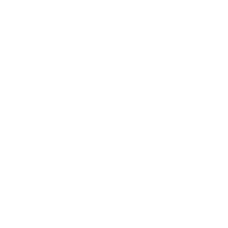 Prisma ORM icon