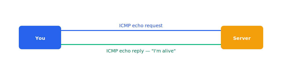Ping & ICMP diagram
