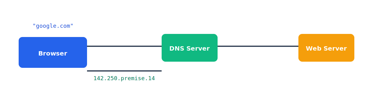 DNS diagram